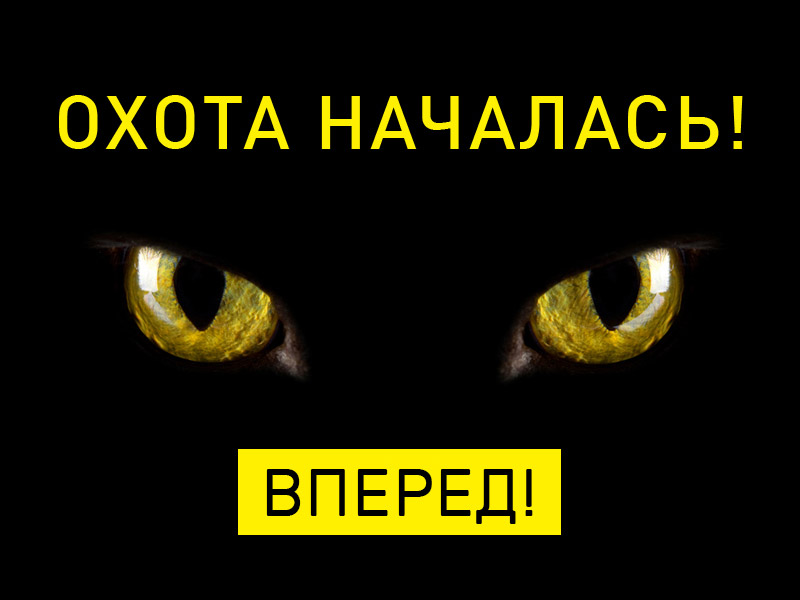 BLACK FRIDAY в Маленькой Леди
